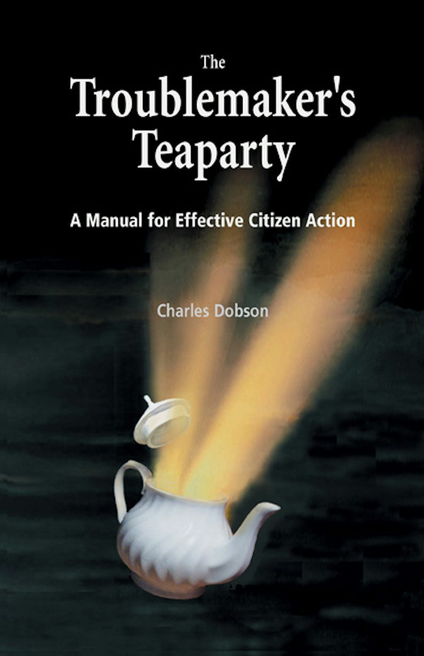 Book cover image for The Troublemaker's Teaparty ISBN: 9781550924237